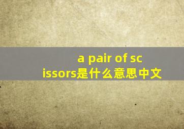 a pair of scissors是什么意思中文